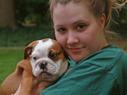 outstanding English bulldog puppies available for free adoption.